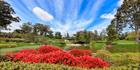 Japanese Garden - Cowra 